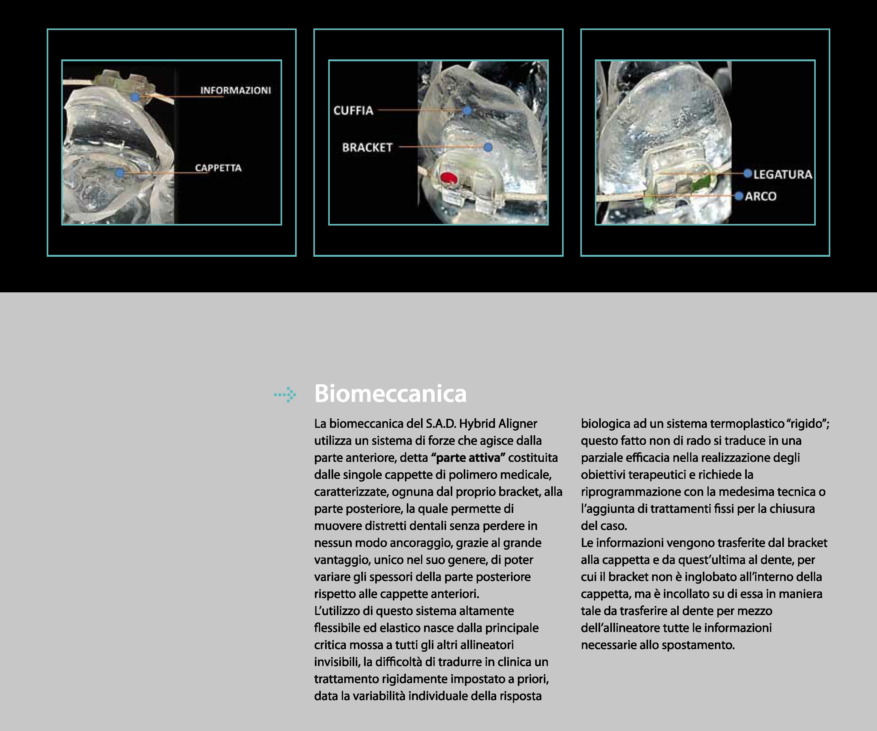 CATALOGO S.A.D_Pagina_11