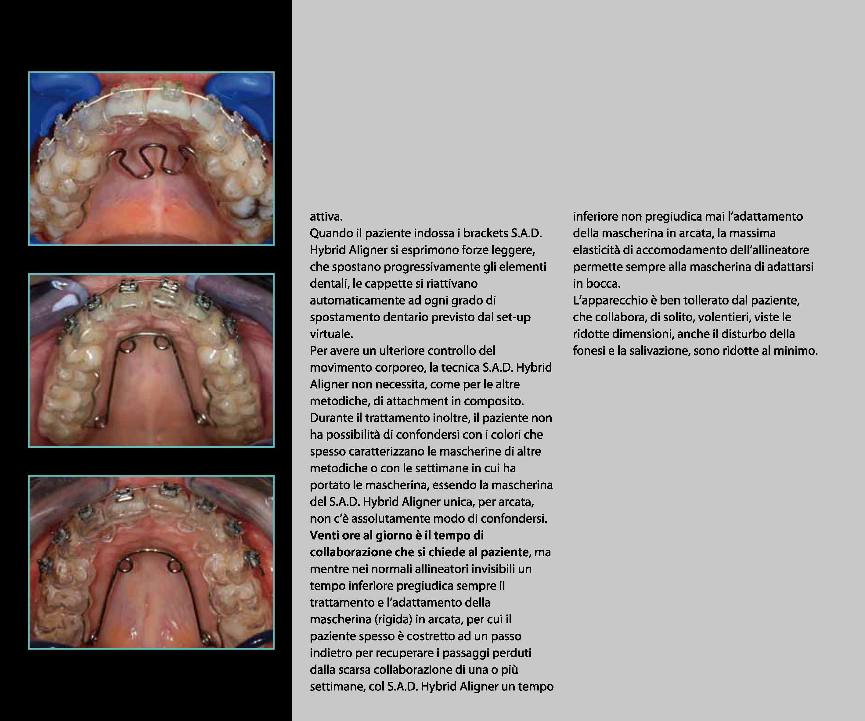 CATALOGO S.A.D_Pagina_13